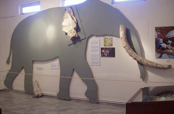 Μουσείο Απολιθωμένων Θηλαστικών Κερασιάς