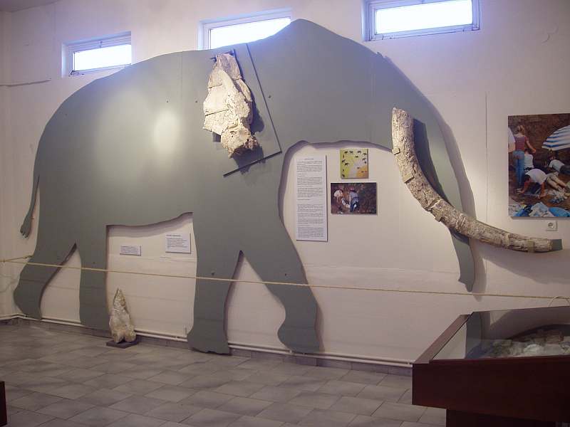 Museum of Fossil Mammals of Kerasia